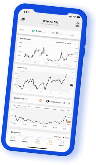 Vaillant Rendecto application web numérique sur appareil mobile